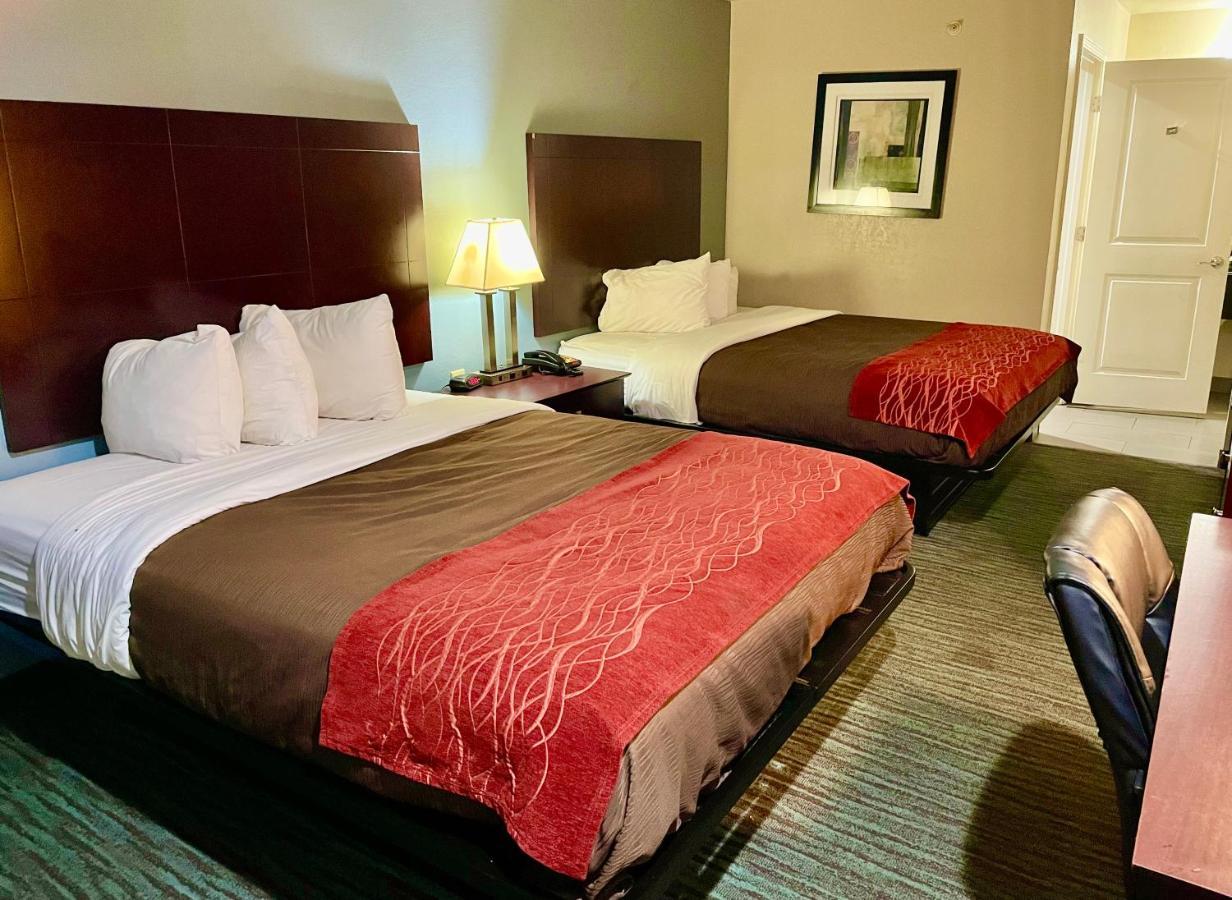 Garden Inn & Suites 小岩城 外观 照片
