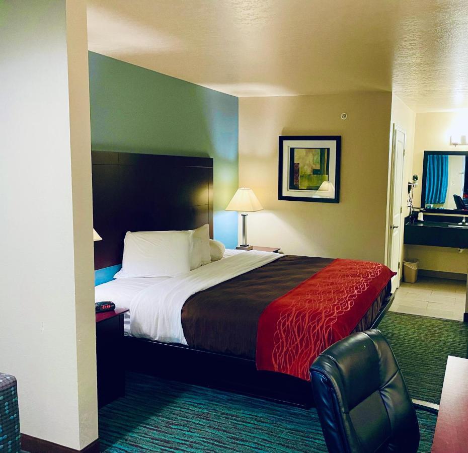 Garden Inn & Suites 小岩城 外观 照片