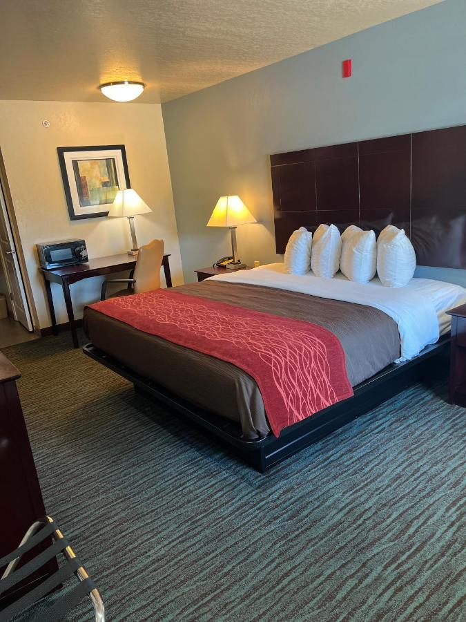 Garden Inn & Suites 小岩城 外观 照片
